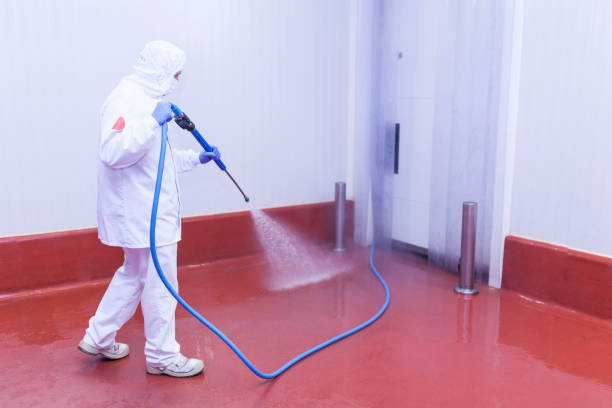 Best Playground Equipment Cleaning  in Kingwood, WV